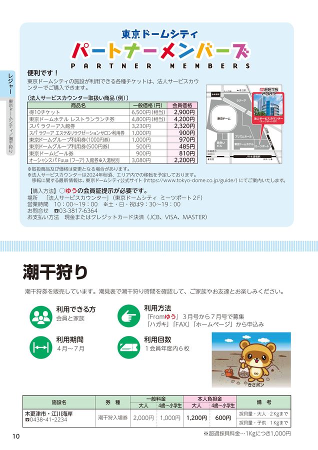 東京ドーム　2024 ビールチケット×3枚  500円利用券×3枚